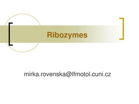 Ribozymes mirka.rovenska@lfmotol.cuni.cz.