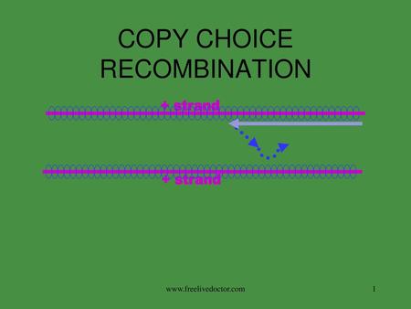 COPY CHOICE RECOMBINATION