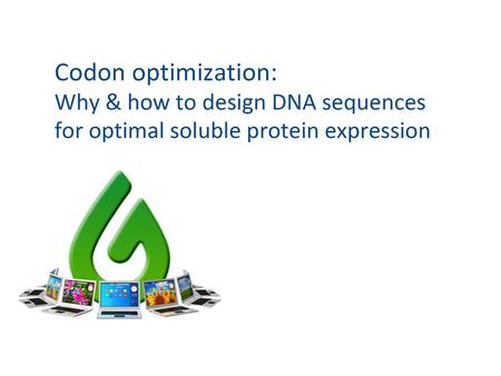 Discovering the codon bias