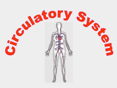 Circulatory System.