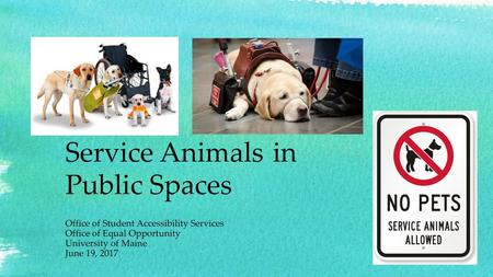 Service Animals in Public Spaces