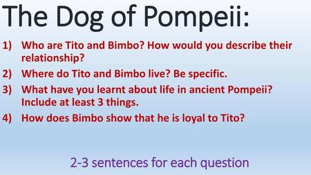 The Dog of Pompeii: 2-3 sentences for each question