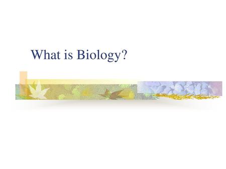 What is Biology?.