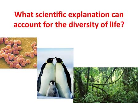 What scientific explanation can account for the diversity of life?