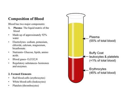 Composition of Blood Blood has two major components: