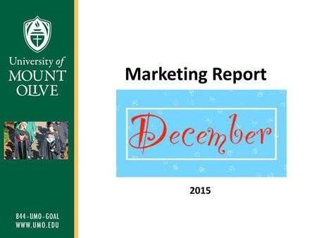 Marketing Report 2015.