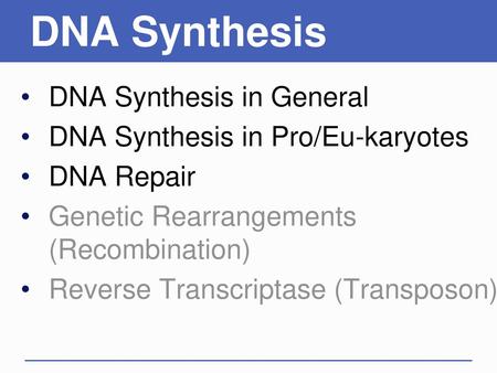 DNA Synthesis DNA Synthesis in General