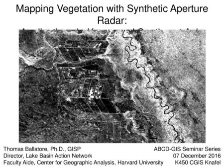 Mapping Vegetation with Synthetic Aperture Radar: