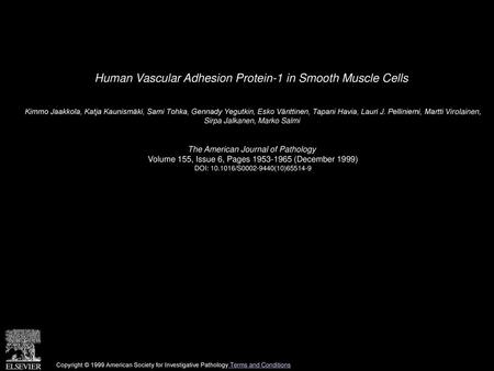 Human Vascular Adhesion Protein-1 in Smooth Muscle Cells