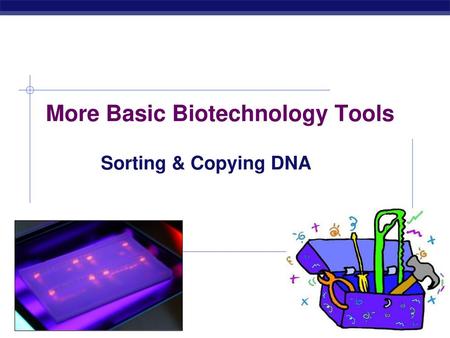 More Basic Biotechnology Tools