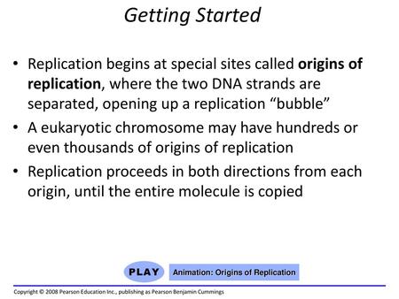 Animation: Origins of Replication