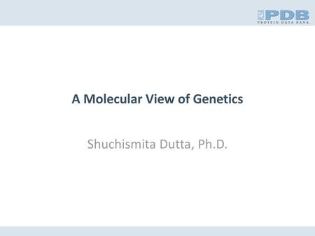 A Molecular View of Genetics