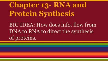 Chapter 13- RNA and Protein Synthesis