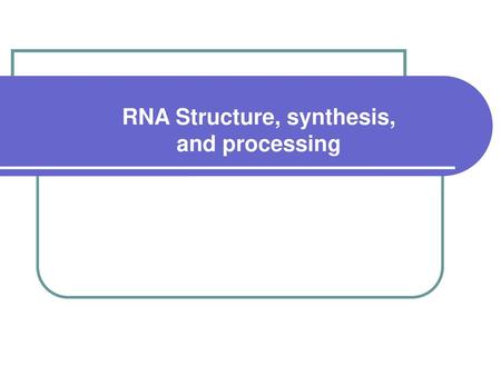 RNA Structure, synthesis, and processing