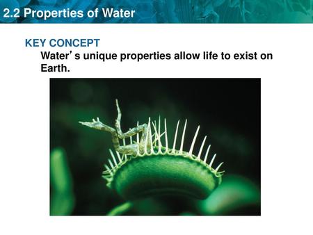 KEY CONCEPT Water’s unique properties allow life to exist on Earth.