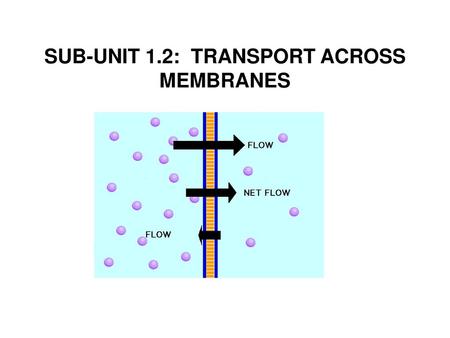 SUB-UNIT 1.2: TRANSPORT ACROSS MEMBRANES