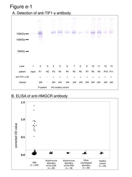 Figure e-1 A. Detection of anti-TIF1-γ antibody.