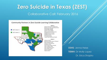 Zero Suicide in Texas (ZEST) Collaborative Call: February 2016