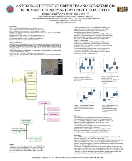 ANTIOXIDANT EFFECT OF GREEN TEA AND COENZYME Q10 IN HUMAN CORONARY ARTERY ENDOTHELIAL CELLS Pureda Yazici1,2, Oya Sayin1, Gul Guner1,2,3 Dokuz Eylul University.