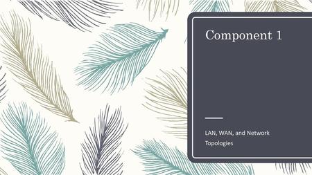 LAN, WAN, and Network Topologies