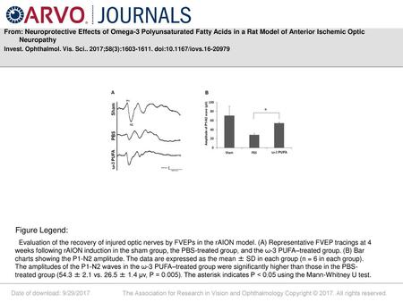 From: Neuroprotective Effects of Omega-3 Polyunsaturated Fatty Acids in a Rat Model of Anterior Ischemic Optic Neuropathy Invest. Ophthalmol. Vis. Sci..