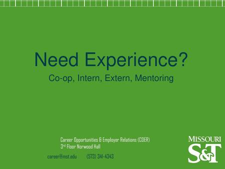 Co-op, Intern, Extern, Mentoring