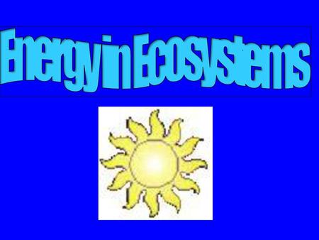 Energy in Ecosystems.