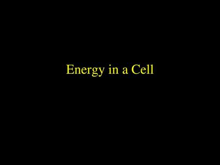 Energy in a Cell.