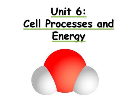 Cell Processes and Energy