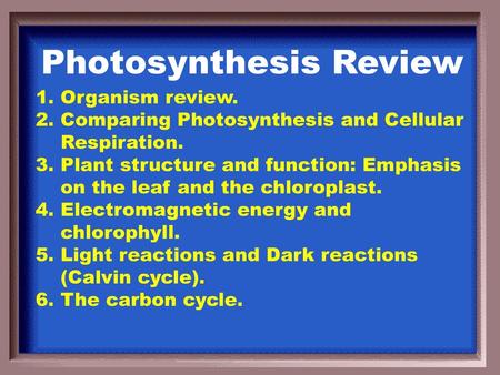 Photosynthesis Review