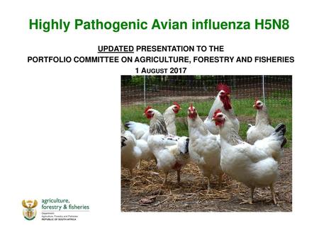 Highly Pathogenic Avian influenza H5N8