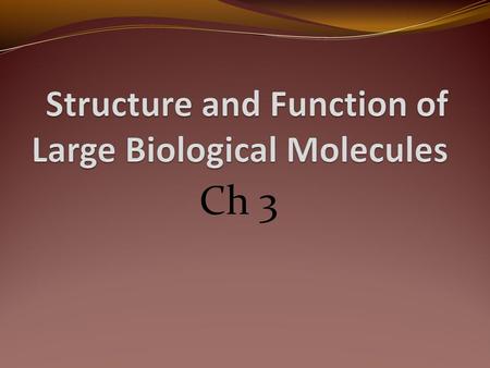 Structure and Function of Large Biological Molecules