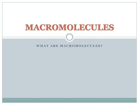 What are macromolecules?