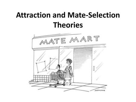 Attraction and Mate-Selection Theories