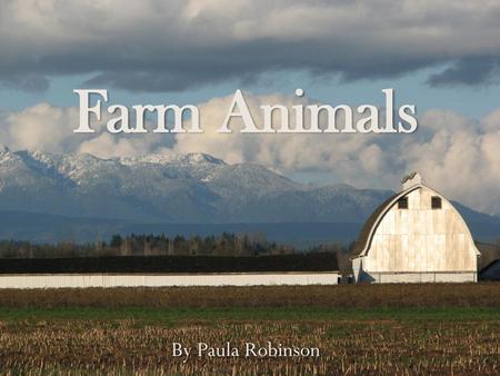 Farm Animals By Paula Robinson.