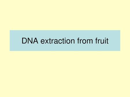 DNA extraction from fruit