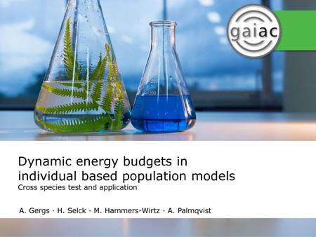 Dynamic energy budgets in individual based population models