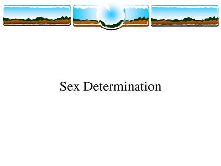 Sex Determination.