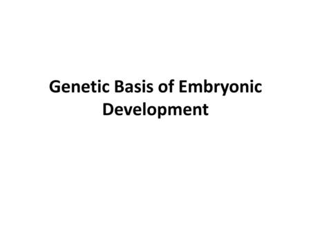 Genetic Basis of Embryonic Development