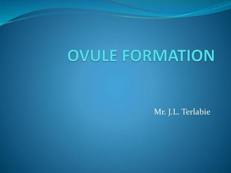 OVULE FORMATION Mr. J.L. Terlabie.