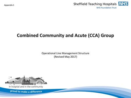 Appendix 1 Combined Community and Acute (CCA) Group Operational Line Management Structure (Revised May 2017) Version 3 13 August 2014.