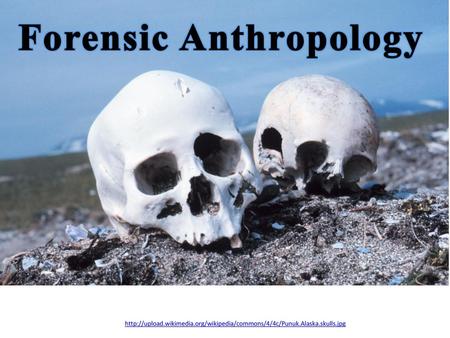 Forensic Anthropology