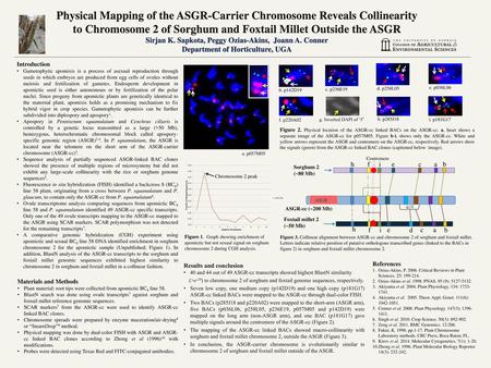 Physical Mapping of the ASGR-Carrier Chromosome Reveals Collinearity to Chromosome 2 of Sorghum and Foxtail Millet Outside the ASGR Sirjan K. Sapkota,