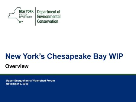 New York’s Chesapeake Bay WIP