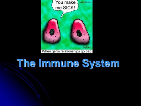 The Immune System.