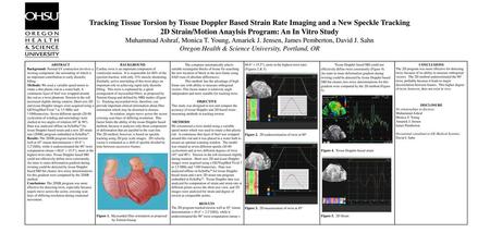 2D Strain/Motion Anaylsis Program: An In Vitro Study