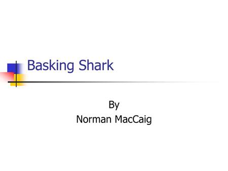 Basking Shark By Norman MacCaig.