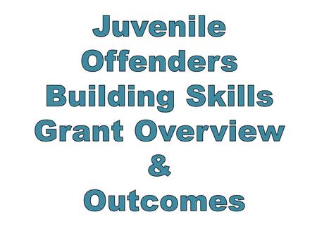 Juvenile Offenders Building Skills Grant Overview