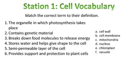 Match the correct term to their definition. 1.The organelle in which photosynthesis takes place 2.Contains genetic material 3.Breaks down food molecules.