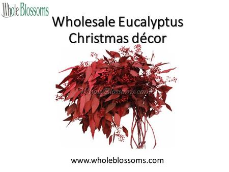 Wholesale Eucalyptus Christmas décor